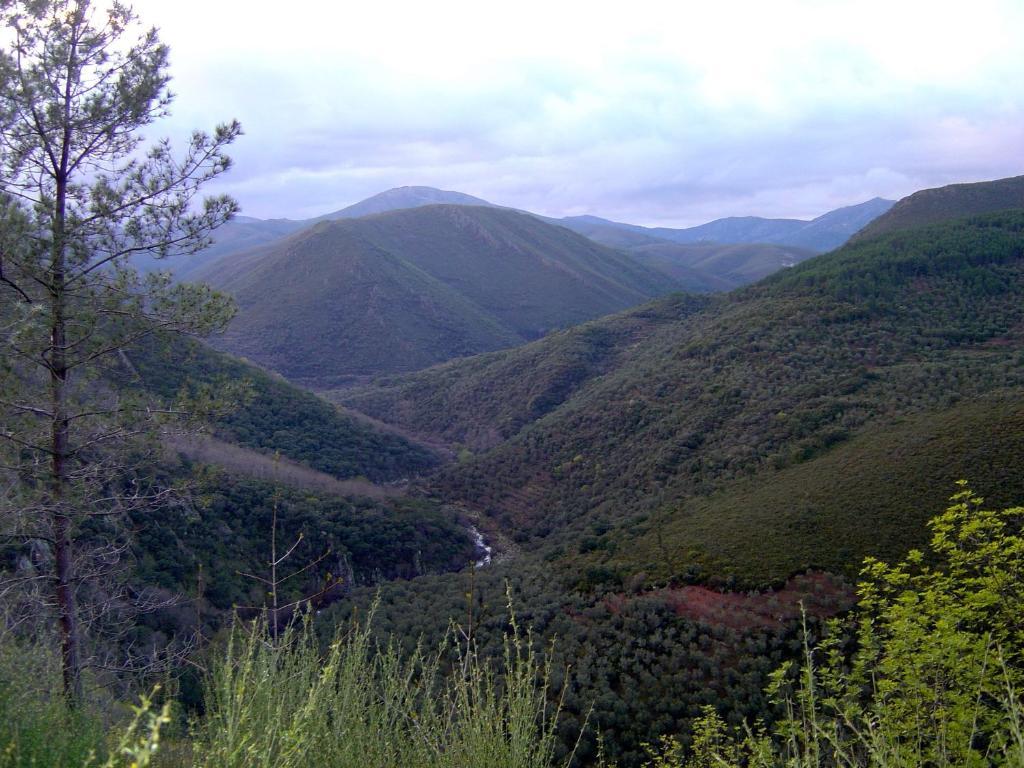 Alojamientos La Herrera San Esteban de la Sierra Phòng bức ảnh